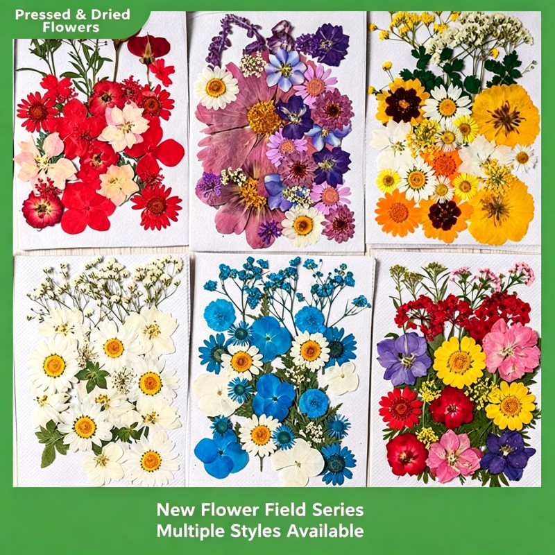 35Pcs10 Set of Dried Flowers a - Candle Making Scents recension och pris