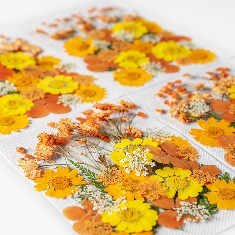 35Pcs10 Set of Dried Flowers a - Candle Making Scents recension och pris